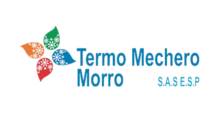 Logo Termno